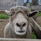 RYUJIのアイコン画像