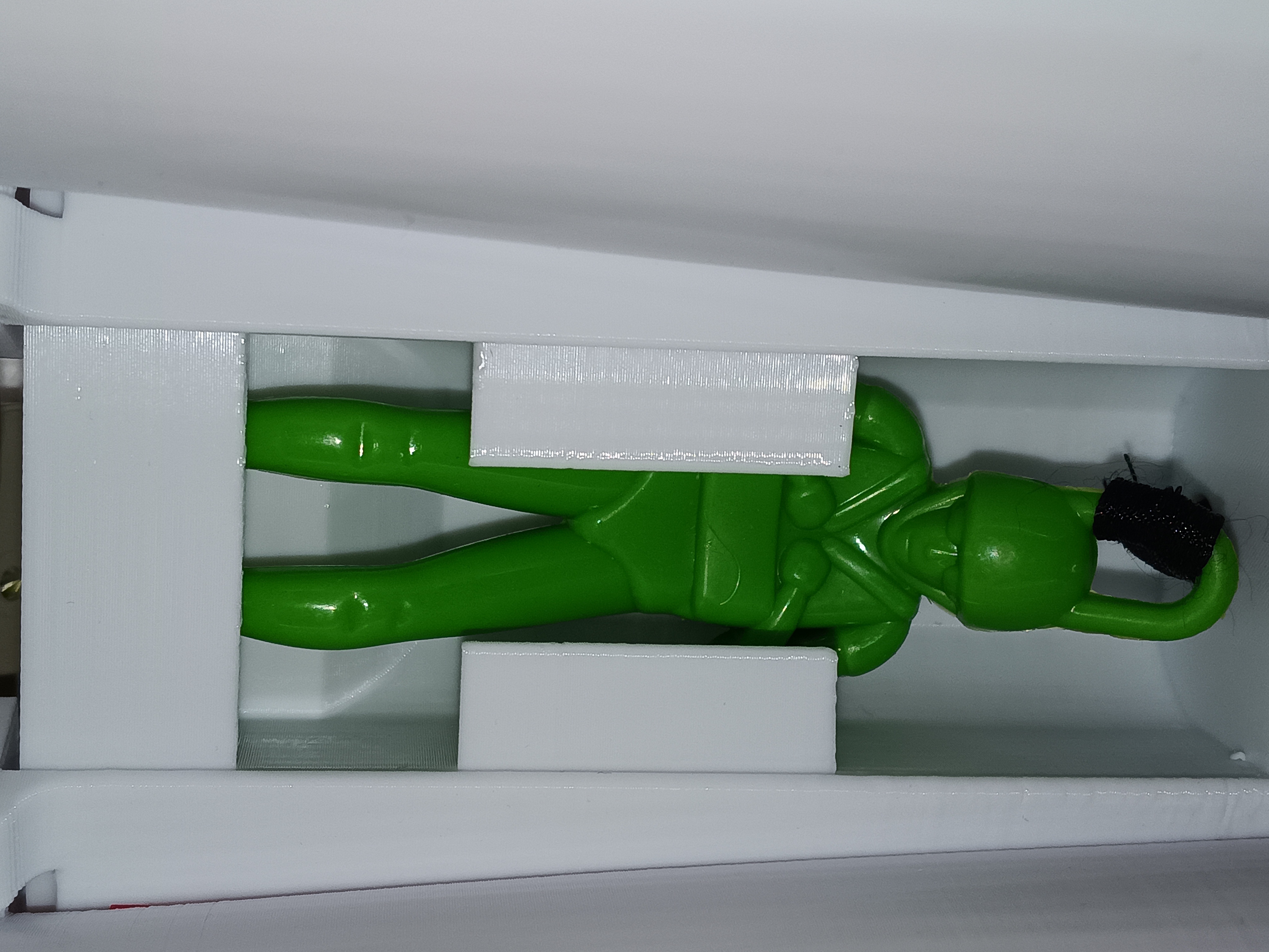 キャプションを入力できます