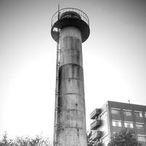 sinaraのアイコン画像