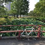 takのアイコン画像