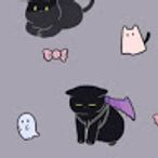 shaharaのアイコン画像