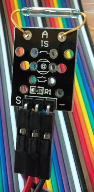 キャプションを入力できます