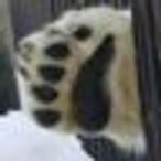 tomorrow56のアイコン画像