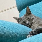 nariのアイコン画像