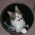 minosukeのアイコン画像