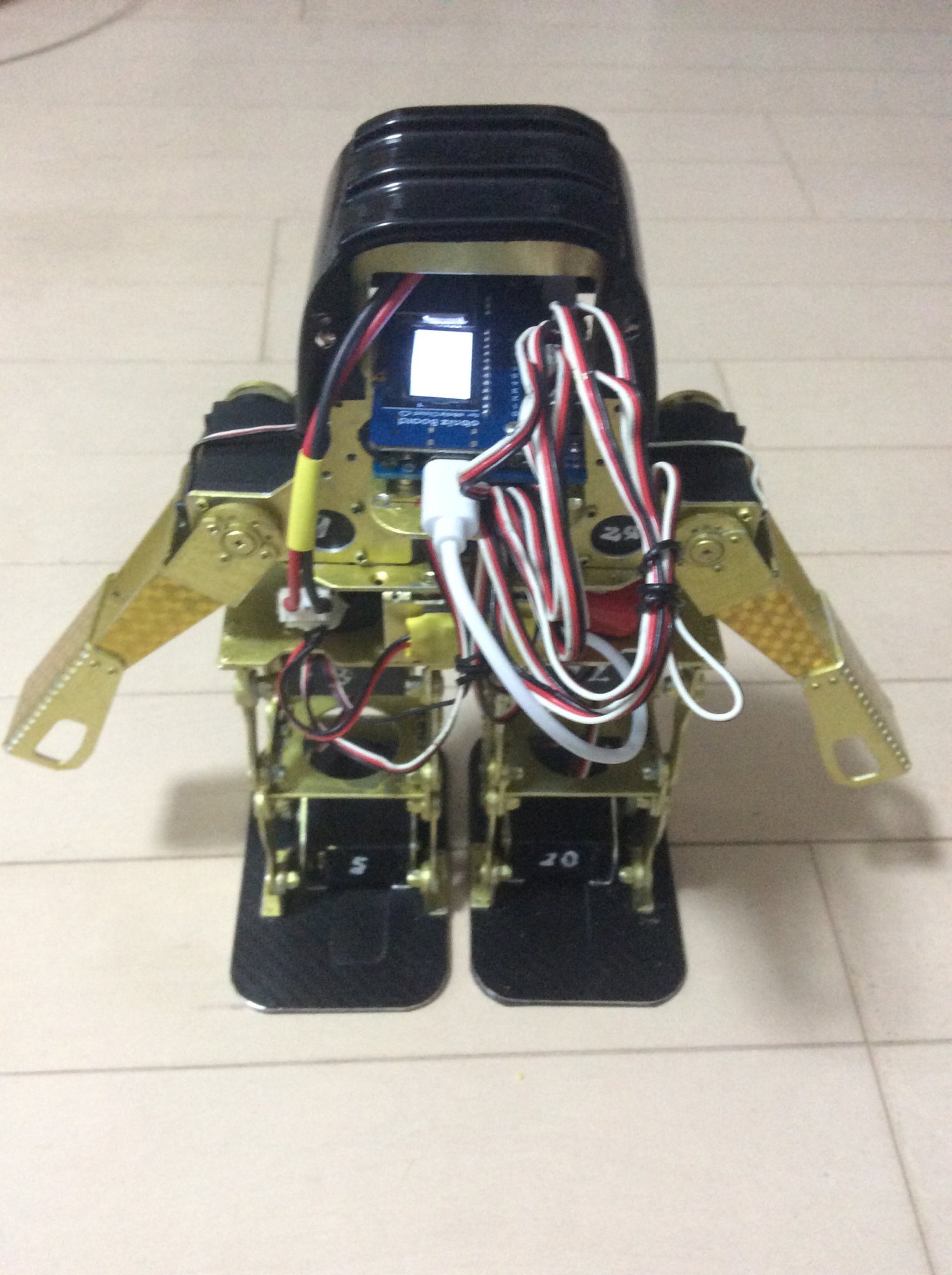 キャプションを入力できます