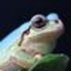 dangomushi115のアイコン画像