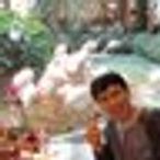 suzukiotのアイコン画像