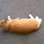 m2ys23のアイコン画像