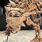 hibikingのアイコン画像